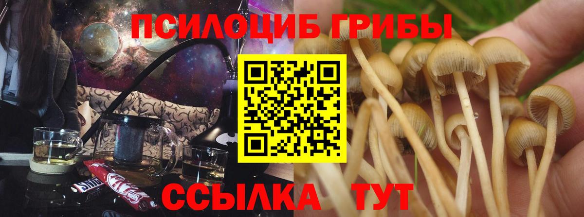 Выкса  Галлюциногенные грибы мухоморы  Вход с VPN 