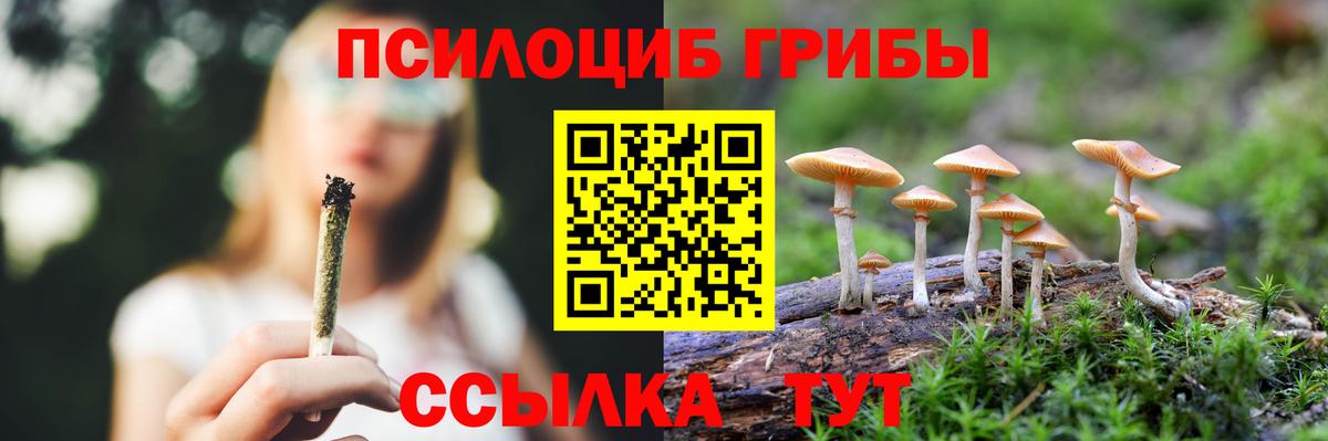 Галлюциногенные грибы MAGIC MUSHROOMS Выкса